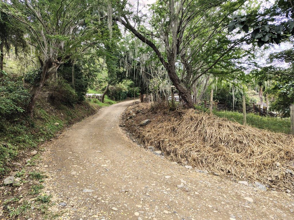 ALCALDESA GESTIONÓ INFRAESTRUCTURA VIAL RURAL PARA FORTALECER LA CONECTIVIDAD Y EL DESARROLLO DEL CAMPO BUGUEÑO ALCALDESA GESTIONÓ INFRAESTRUCTURA VIAL RURAL PARA FORTALECER LA CONECTIVIDAD Y EL DESARROLLO DEL CAMPO BUGUEÑO
